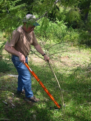 The Extractigator works great at removing Alder Trees
