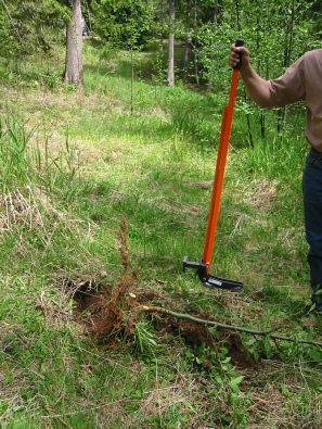 Durable Mini Sturdy Steel for Pulling Buckthorn & Rooted Trees 